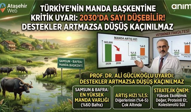 Türkiye'nin Manda Başkentine Kritik Uyarı: 2030 Yılında Büyük Tehlike!