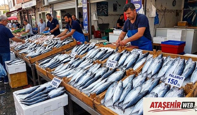 Av Yasakları Sona Erdi: Balıkçı Tezgâhları Palamutla Şenlendi!