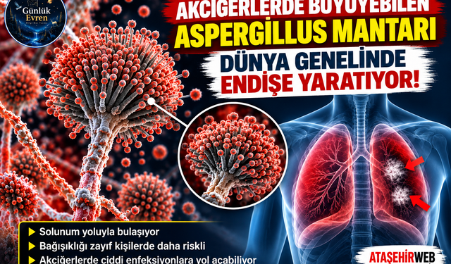 Akciğerlerde Büyüyebilen Aspergillus Mantarı Dünya Genelinde Endişe Yaratıyor!