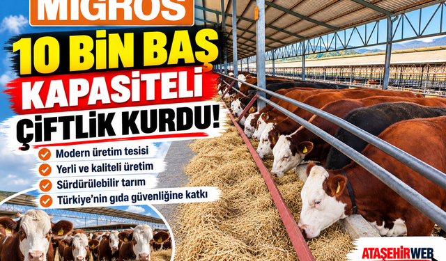 Migros 10 Bin Baş Kapasiteli Çiftlik Kurdu!