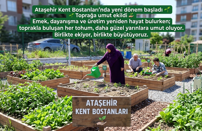 Ataşehir’de Kent Bostanları Yeşeriyor!