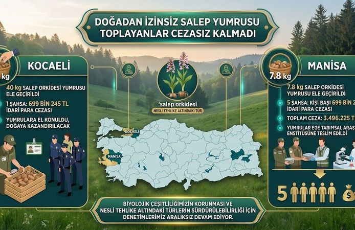 DOĞADAN İZİNSİZ SALEP TOPLAYANLARA REKOR CEZA