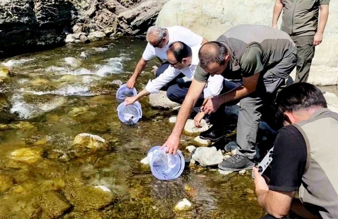 İLİŞİ ÇAYI'NA 15 BİN ALABALIK SALINDI
