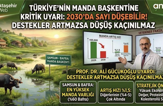 Türkiye'nin Manda Başkentine Kritik Uyarı: 2030 Yılında Büyük Tehlike!