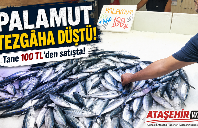 Palamut Tezgâha Düştü!