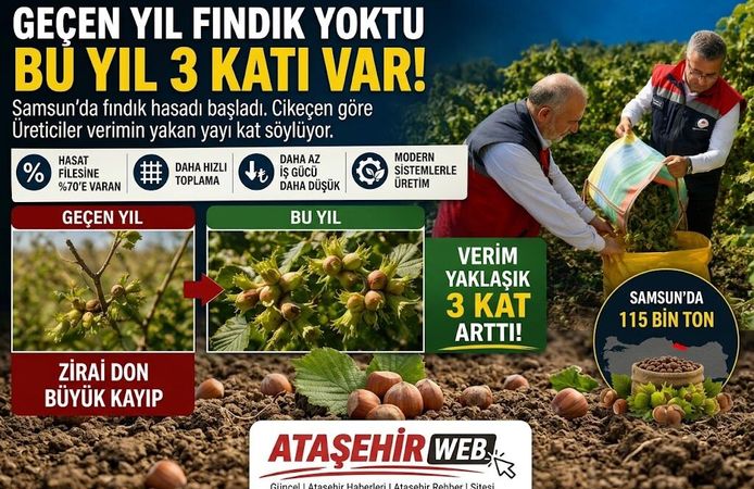 Samsun’da Fındık Bereketi