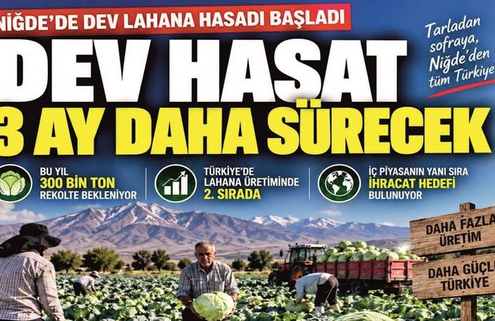 Niğde’de 300 Bin Tonluk Dev Lahana Hasadı Başladı
