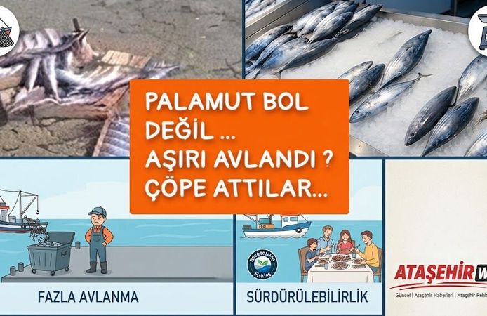 Palamut Neden "Çöp" Oluyor?