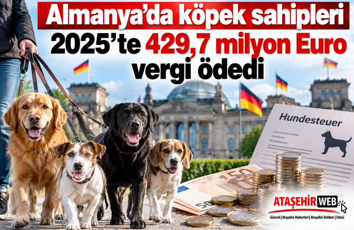 Almanya'da köpek sahipleri 2025’te 429,7 milyon Euro vergi ödedi