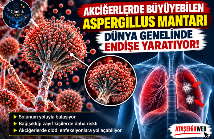 Akciğerlerde Büyüyebilen Aspergillus Mantarı Dünya Genelinde Endişe Yaratıyor!