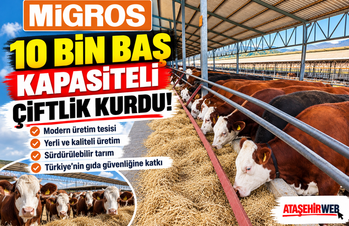 Migros 10 Bin Baş Kapasiteli Çiftlik Kurdu!
