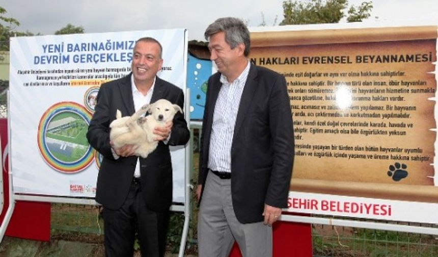 Ataşehir Sokak Hayvanlarına Sahip Çıkıyor