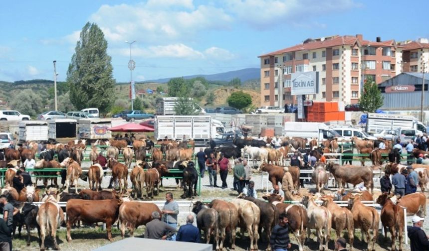 Çankırı Ilgaz Hayvan Pazarı 25 . 5 . 2024,