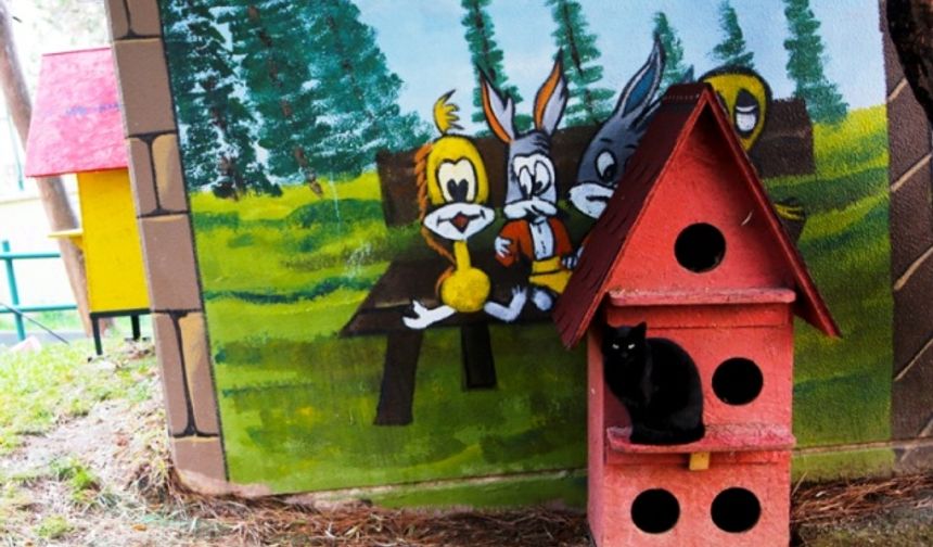 Renkli Kedi, Köpek Kulübeleri