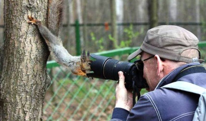 İlginç Fotolar 2015