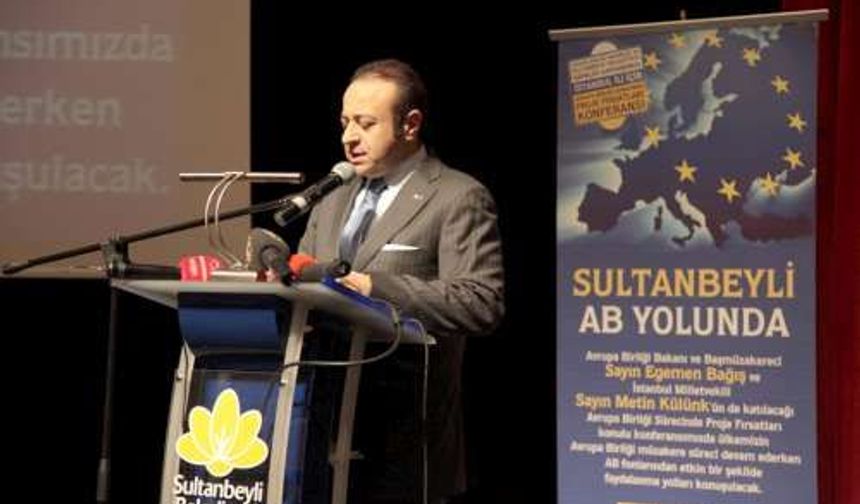 Sultanbeyli, Avrupa birligi Paneli