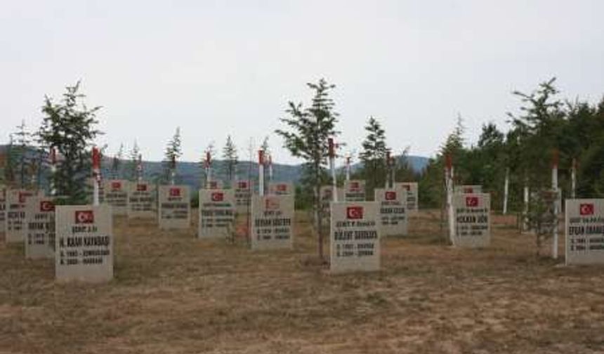 ZONGULDAK ŞEHİTLER ORMANI