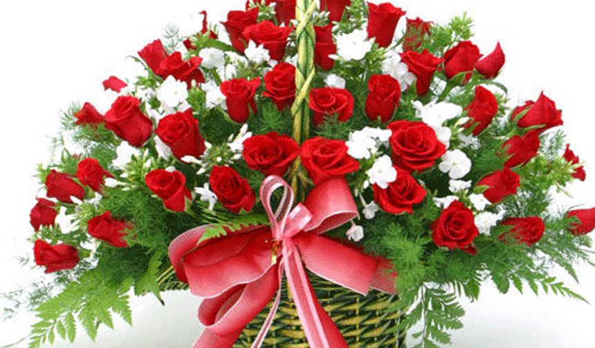 Ataşehir Uluslararası Çiçekçilik