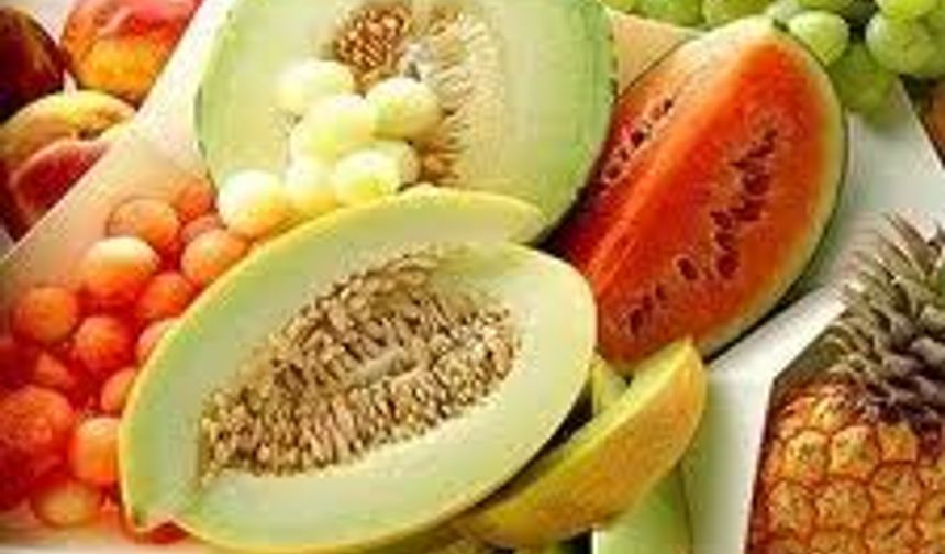 ŞEFİKA AYDIN  BESLENME VE DİYET UZMANI