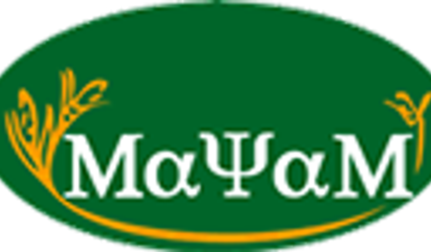 MAYA EV  YEMEKLERİ, ataşehir