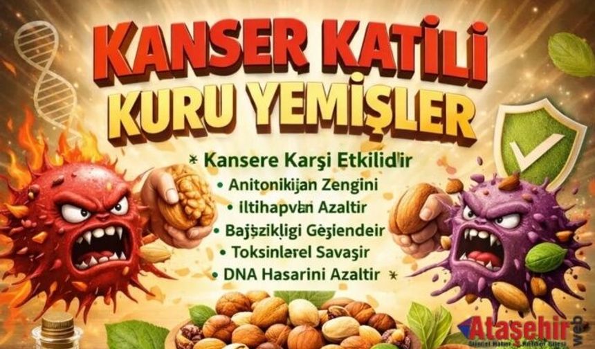 Kuru Yemişler: Sadece Atıştırmalık Değil, Güçlü Bir Savunma Kaynağı