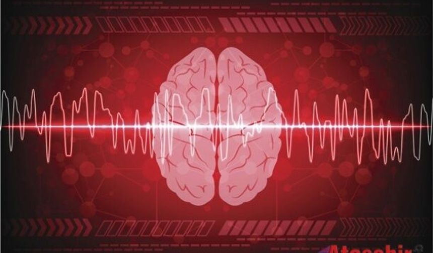Ölüm anında beyin aktivitesi ilk kez görüntülendi: