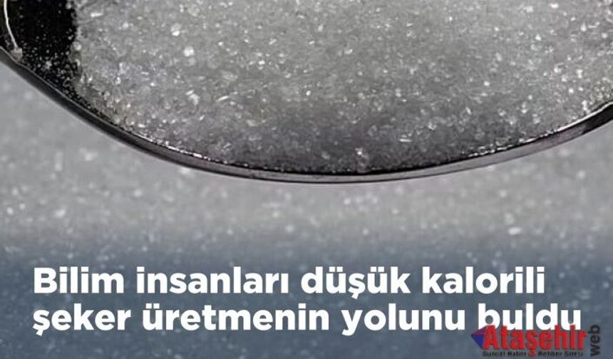 Yeni Araştırma: Doğal Şeker Tagatoz ile Daha Az Kalori, Aynı Tatlılık