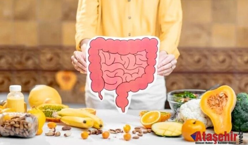 Bağışıklık, Metabolizma Ve Bağırsak Sağlığını Birlikte Destekleyen Çözüm