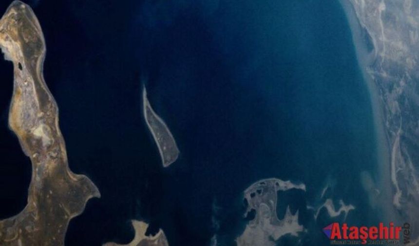 Doğa Geri Dönüyor: Aral Gölü’nde Mucizevi Canlanma!