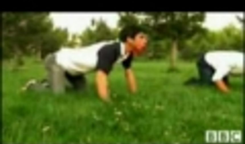 SFK - Amatör Videolar