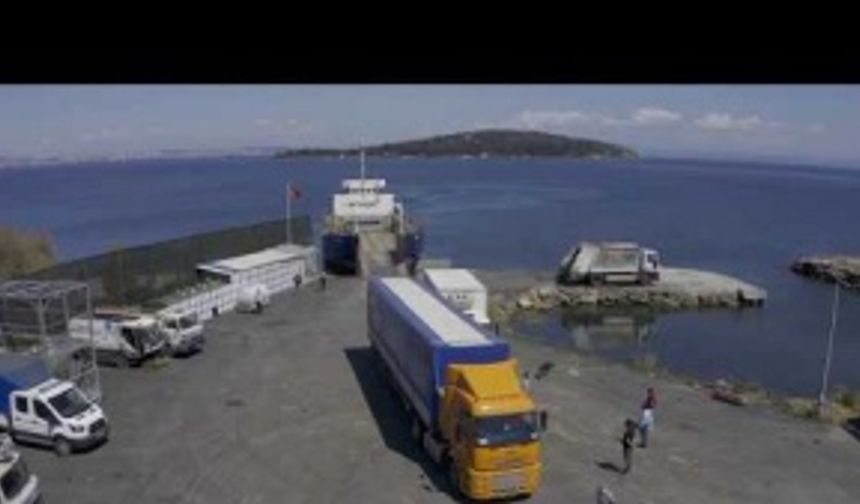 ADALAR’DAKİ ATLAR SAHİPLENDİRİLİYOR