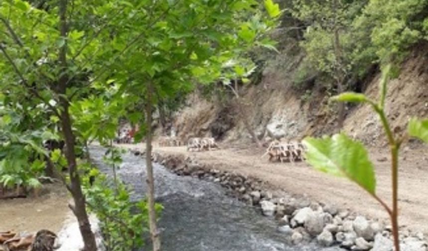 Balliöz Tayşa, Restoran, Antakya, Hatay