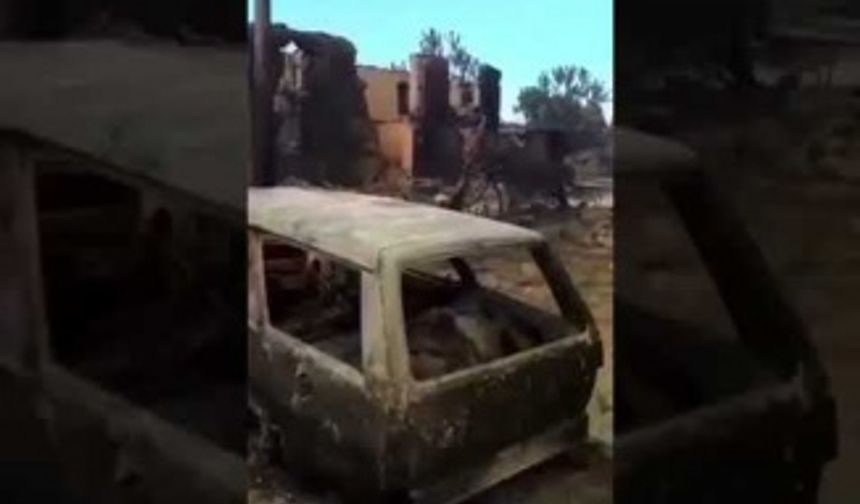 Bu yangınları çıkartanlar, İnşallah bu gözyaşlarında boğulursunuz