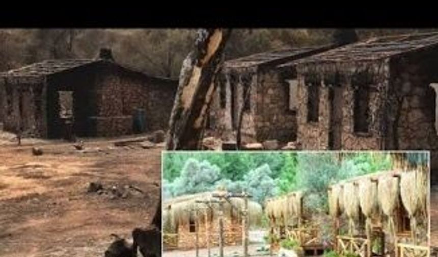 Çökertme koyu, mandıra filozofunun, evi yandı