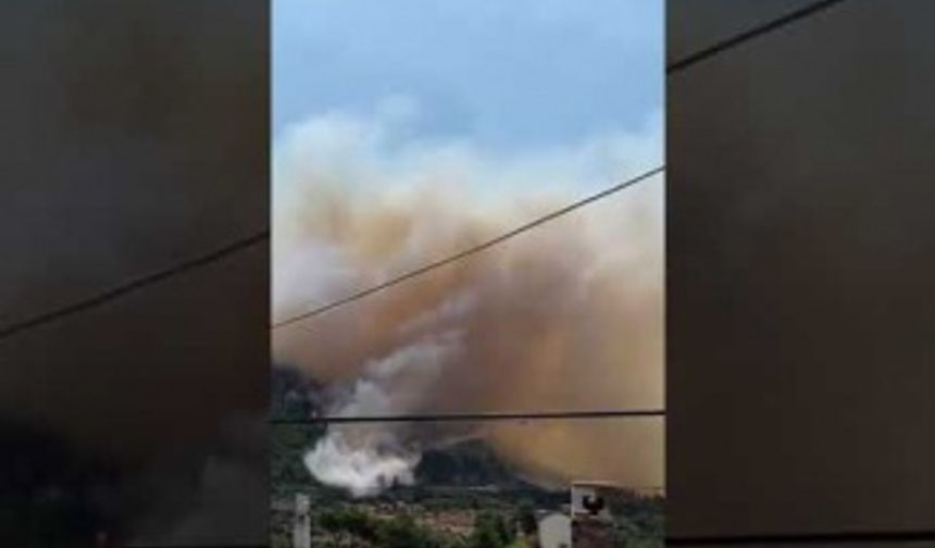 Orman yangınına Müdahale eden Yangın söndürme uçağı