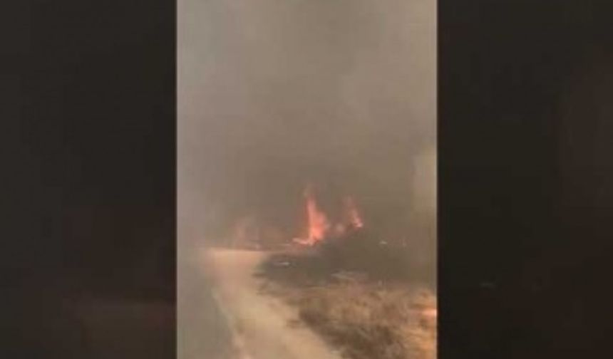 Yanan ormanlara müdahale için giden ekiplerin çektiği görüntüler