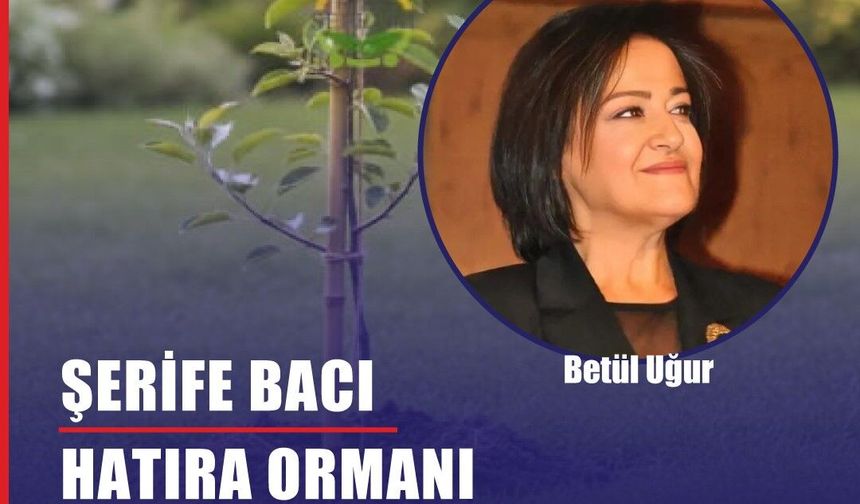 Şehide Şerife Bacı Hatıra Ormanı Çanakkale’de Yeşeriyor