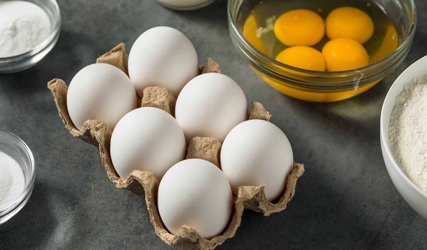 YUMURTA ÜRETİMİNDE SON 3 YILIN REKORU