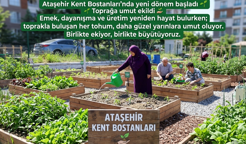 Ataşehir’de Kent Bostanları Yeşeriyor!