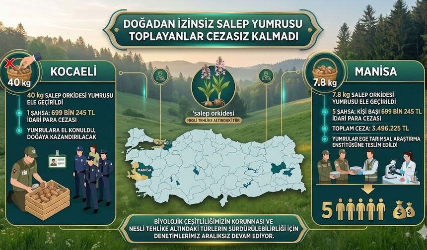 DOĞADAN İZİNSİZ SALEP TOPLAYANLARA REKOR CEZA