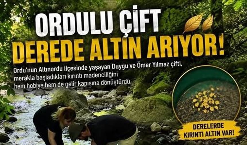 Derelerinde "Altın" Çılgınlığı