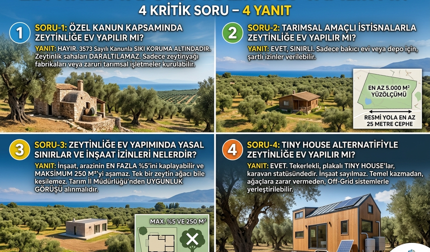 Zeytinlik Tapulu Araziye Ev Yapılır mı