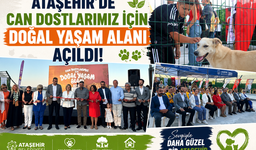 Ataşehir'de Can Dostlarımız İçin Doğal Yaşam Alanı Açıldı!