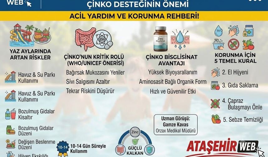 Yaz İshallerine Karşı Güçlü Bir Kalkan: Çinko Desteğinin Önemi