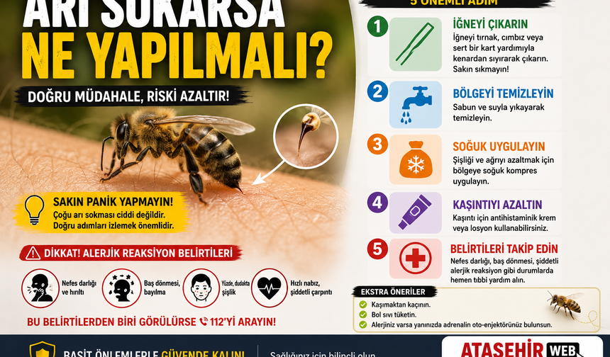 ARI SOKARSA NE YAPILMALI