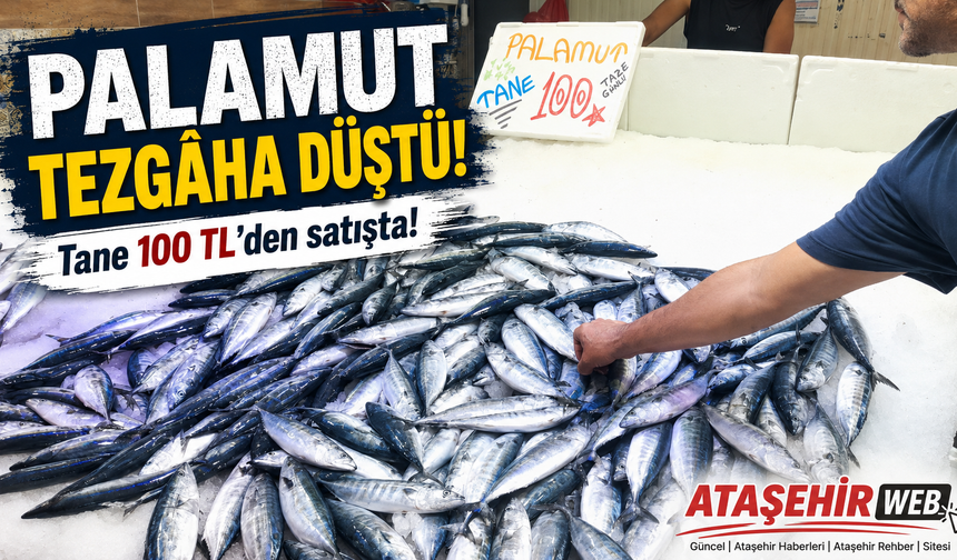 Palamut Tezgâha Düştü!