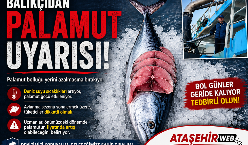Balıkçı esnafından vatandaşlara 'palamut' uyarısı: Şimdilik derin dondurucuya koymayın!
