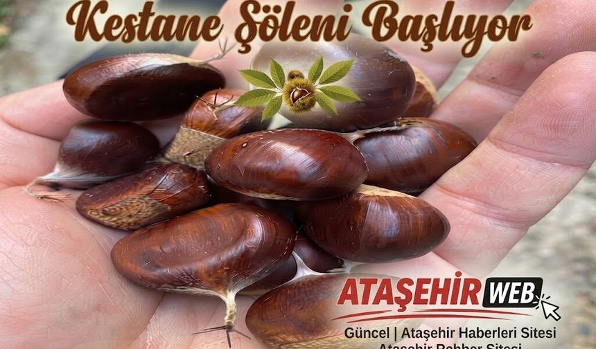 Kestane Şöleni Başlıyor