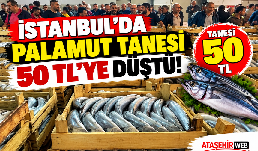 İstanbul’da Palamut Tanesi 50 TL’ye Düştü!