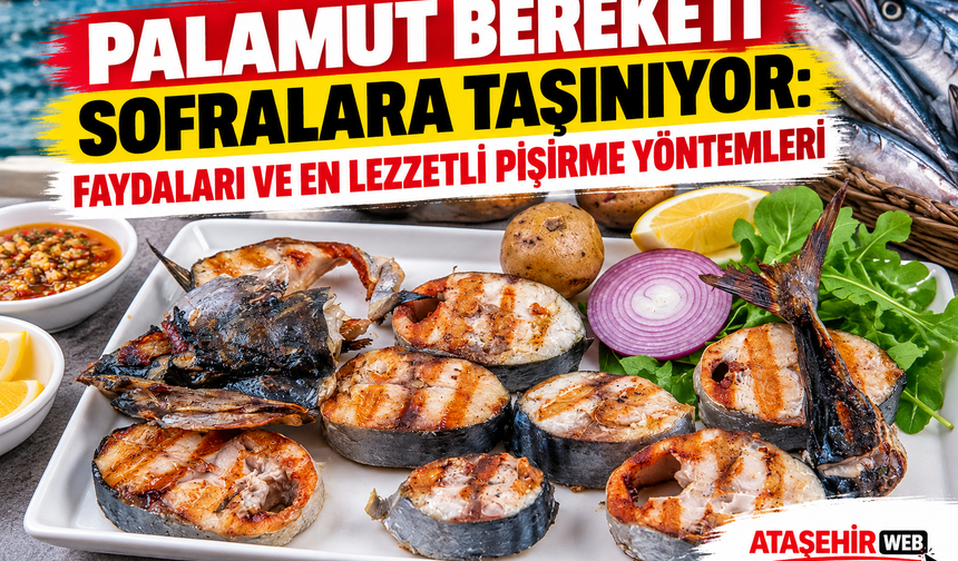 Palamut Bereketi Sofralara Taşınıyor: Faydaları ve En Lezzetli Pişirme Yöntemleri
